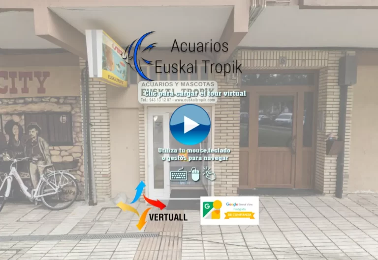 Ventajas del tour virtual para empresas en Zaragoza